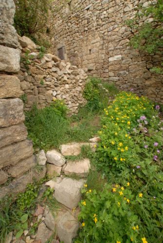 Petit mur en Ardèche en pierre sèche