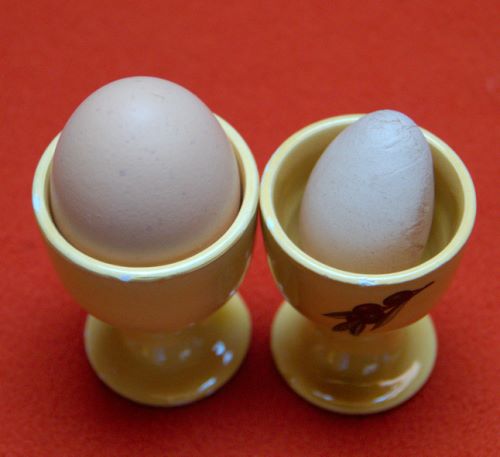 œufs de poule mini