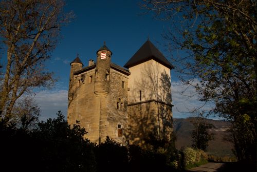 Fésigny Château